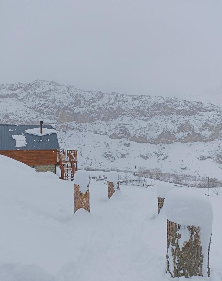 Cottage Toladi Kazbegi Ngoại thất bức ảnh