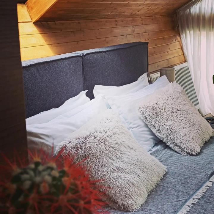 Cottage Toladi Kazbegi Ngoại thất bức ảnh