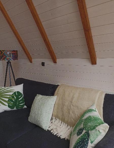 Cottage Toladi Kazbegi Ngoại thất bức ảnh